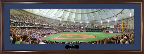 FL-102 Tampa Bay Rays First Pitch