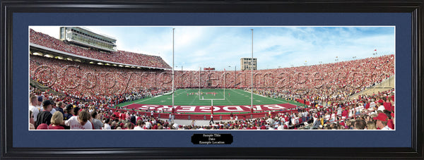 WI-113 Badgers Camp Randall