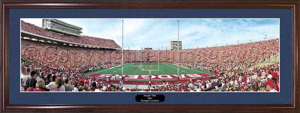 WI-113 Badgers Camp Randall