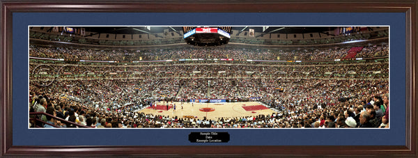 IL-116 Chicago Bulls Foul Shot