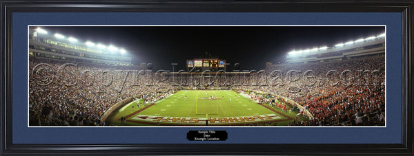 FL-125 Florida State Seminoles