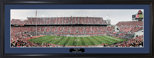 OH-146 Ohio State Buckeyes 20 Yard Line