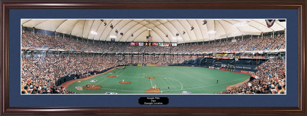 MN-148 Twins Homer Hanky Heaven