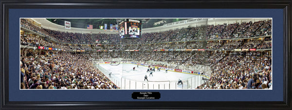 CA-157 Ducks Western Conference Champions