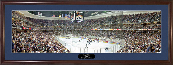 CA-157 Ducks Western Conference Champions