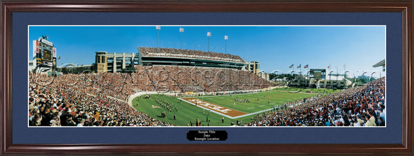 TX-162 Texas Longhorns