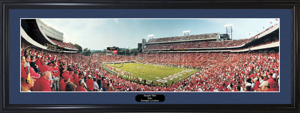 GA-163 Georgia Bulldogs