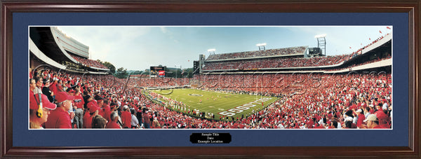 GA-163 Georgia Bulldogs