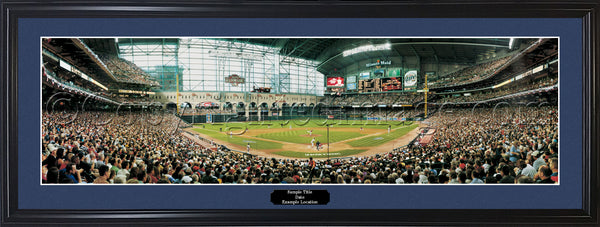 TX-167 Astros 2004 NLCS