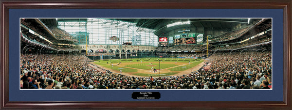 TX-167 Astros 2004 NLCS