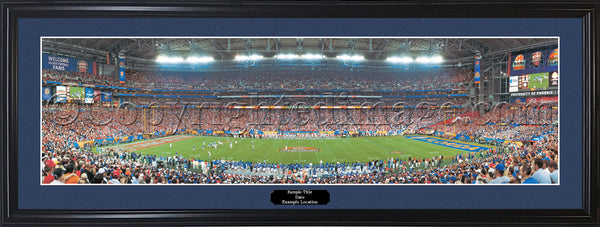 FL-173A Gators Game of Their Century 2006