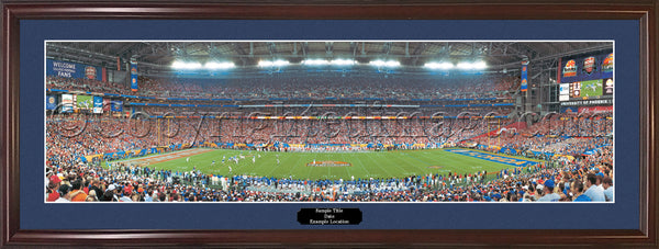 FL-173A Gators Game of Their Century 2006