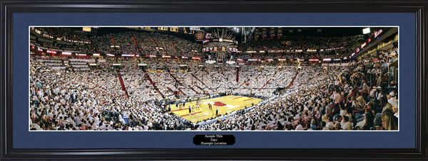Fl-194 Miami Heat 2006 NBA Champions
