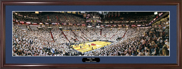 Fl-194 Miami Heat 2006 NBA Champions