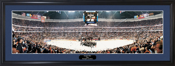 CA-209 Ducks 2007 Stanley Cups Champions