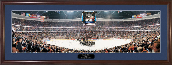 CA-209 Ducks 2007 Stanley Cups Champions