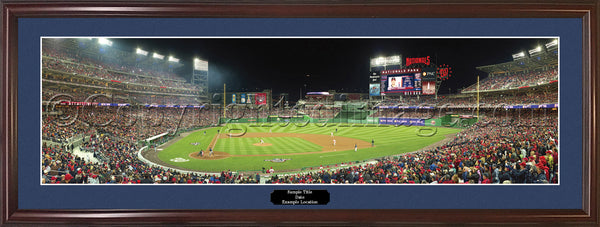 DC-227 Washington Nationals