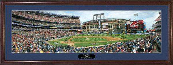 NY-230 Mets Last First Pitch