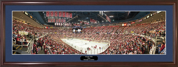 MI-234 Red Wings 2008 Stanley Cup Champions