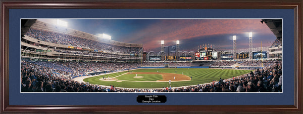 IL-23 Chicago White Sox