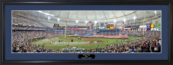 FL-240 2008 World Series