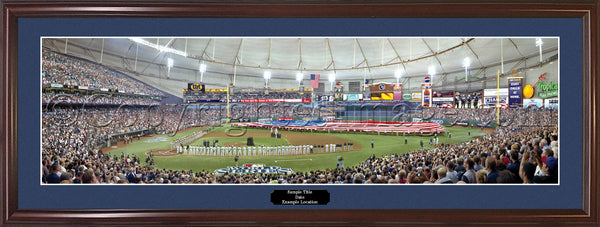 FL-240 2008 World Series