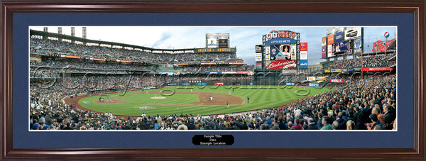 NY-251 Mets First Pitch at Citi Field