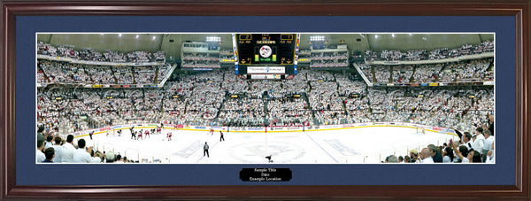 PA-257 Penguins 2009 Stanley Cup Champions