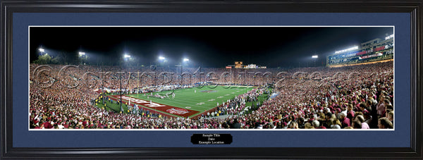 AL-267 Alabama - 2009 National Champions