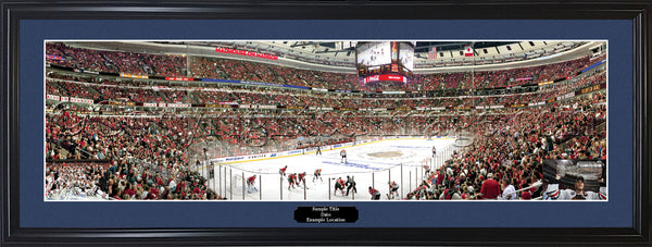 IL-279LE Blackhawks 2010 Stanley Cup Champions with inserts