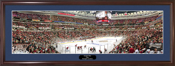 IL-279LE Blackhawks 2010 Stanley Cup Champions with inserts