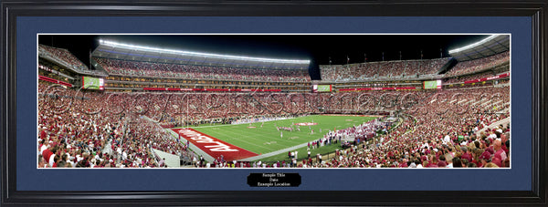 AL-283 Alabama - 20 Yard Line