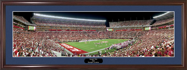 AL-283 Alabama - 20 Yard Line