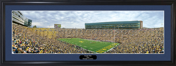 MI-284 Wolverines 28 Yard Line