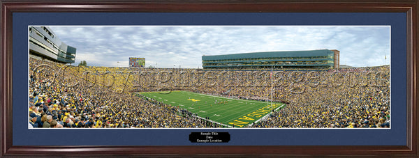 MI-284 Wolverines 28 Yard Line