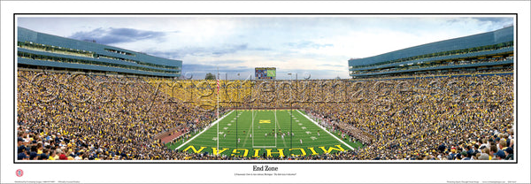 MI-285 Wolverines End Zone