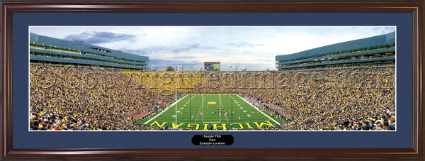 MI-285 Wolverines End Zone