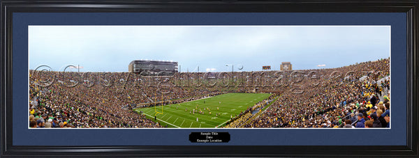 IN-286 Fighting Irish