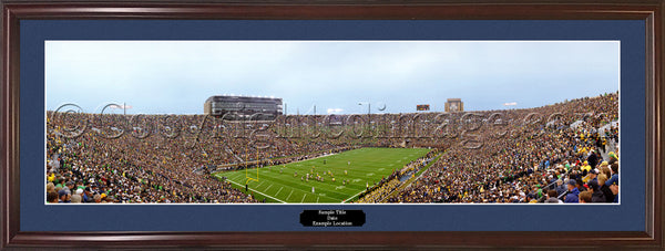 IN-286 Fighting Irish