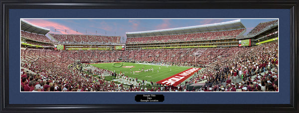 AL-287 Alabama - 21 Yard Line