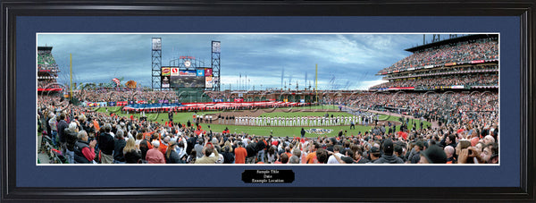 CA-294 2010 World Series