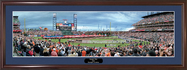 CA-294 2010 World Series
