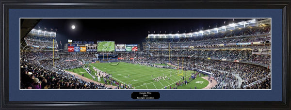 IN-294a Fighting Irish