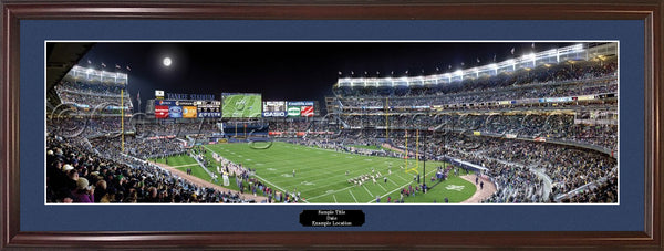 IN-294a Fighting Irish