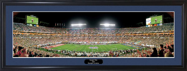 AL-334 Alabama - 2013 Discover BCS National Championship Game