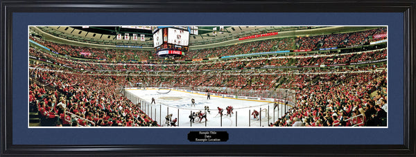 IL-342  Blackhawks 2013 Stanley Cup Champions