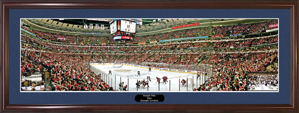 IL-343 Blackhawks 2013 Stanley Cup Champions with inserts