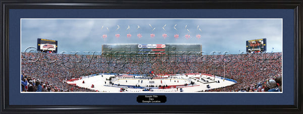 TOR-356 2014 NHL Winter Classic