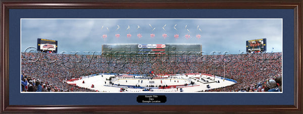 TOR-356 2014 NHL Winter Classic