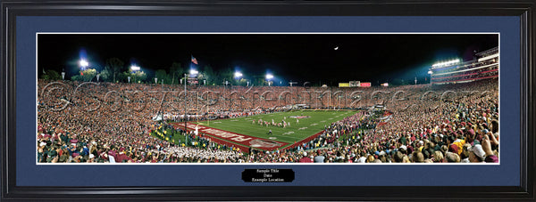 FL-357 Seminoles 2013 National Champions